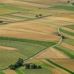 buy land tips