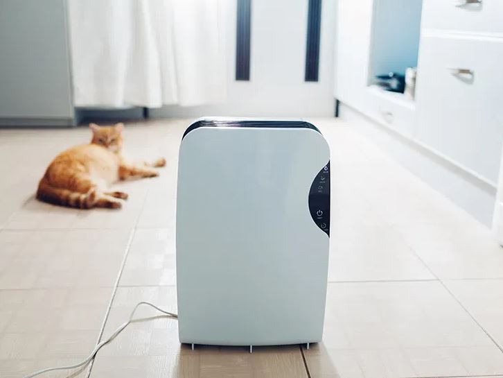 The Relevance of an Air Purifier in Your Home