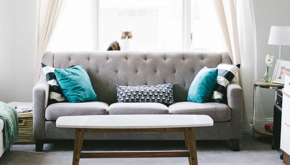 How to Get the Best Sofa for Your Home?